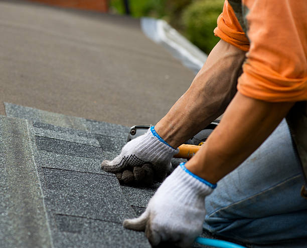 Best Roof Repair Services  in Bremerton, WA